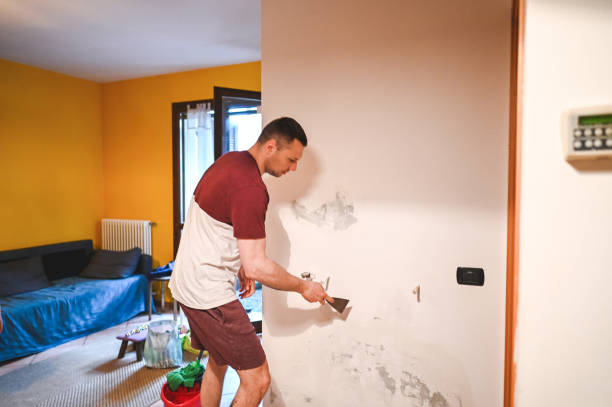 Best Mold Damage Repair  in Del Aire, CA